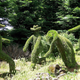 Image for article titled The World's Strangest and Most Magnificent Gardens